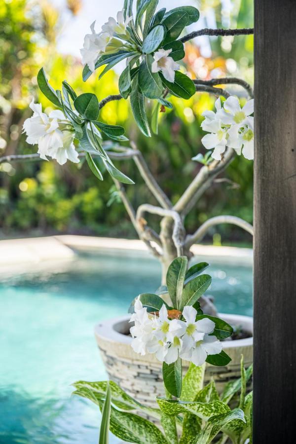 Jagaditha Villas Sanur Exterior foto